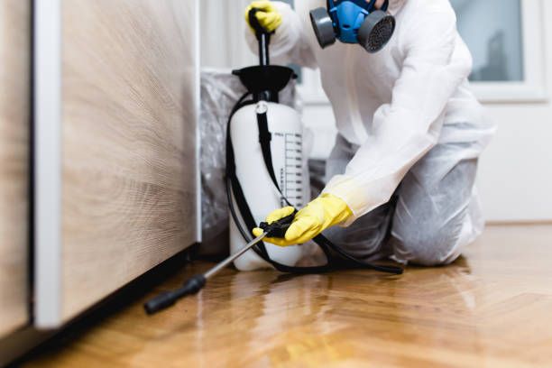 Best Residential Pest Control  in Fairmont, MN