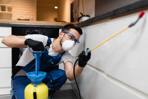 Best Residential Pest Control  in Fairmont, MN