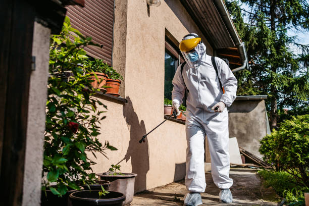 Best Pest Prevention Services  in Fairmont, MN