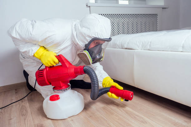 Best Rat Extermination Near Me  in Fairmont, MN