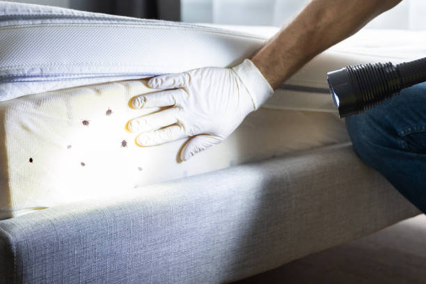 Best Pest Removal Services  in Fairmont, MN