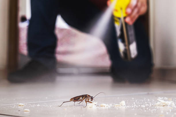 Best Mosquito Control Services  in Fairmont, MN