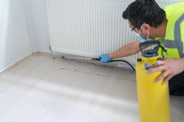 Pest Prevention Services in Fairmont, MN