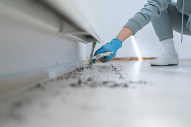 Best Rat Extermination Near Me  in Fairmont, MN